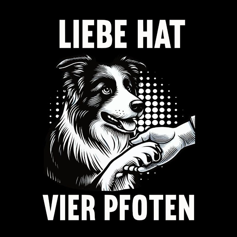 Liebe hat Vier Pfoten Border Collie Collies