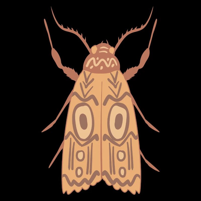 Aboriginal