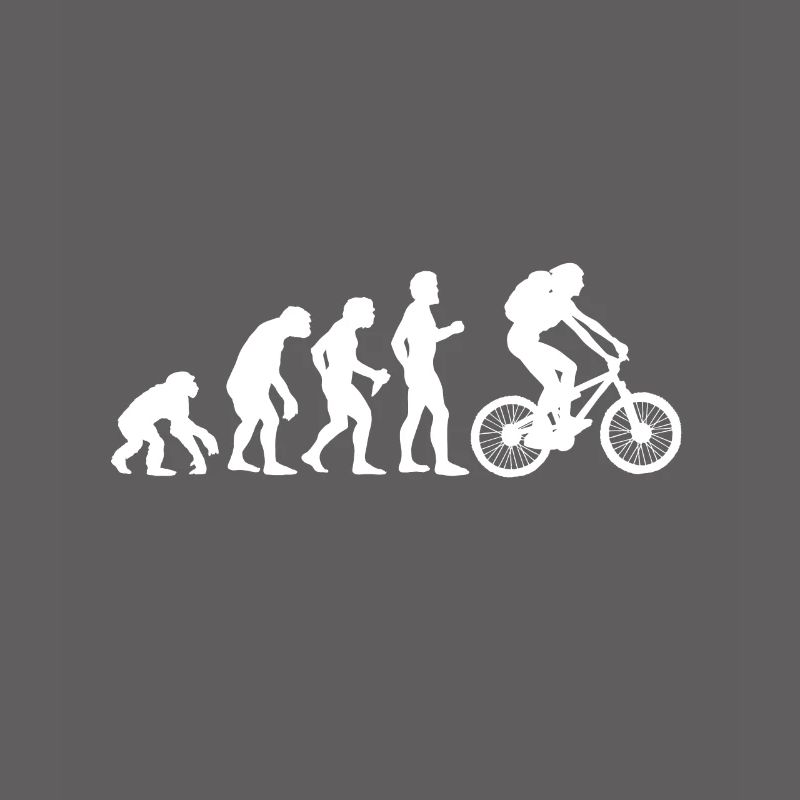 Evolution du VTT