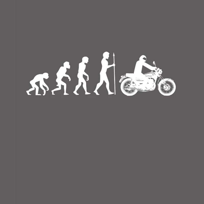 Evolution singe homme moto motard idée cadeau