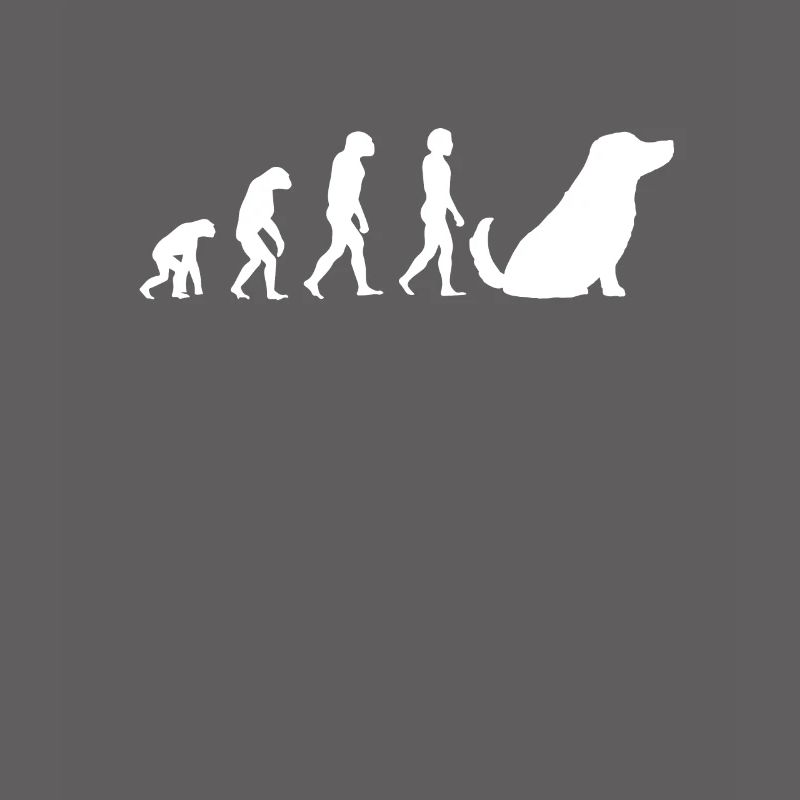 Hunde Haustier Evolution Hundebesitzer