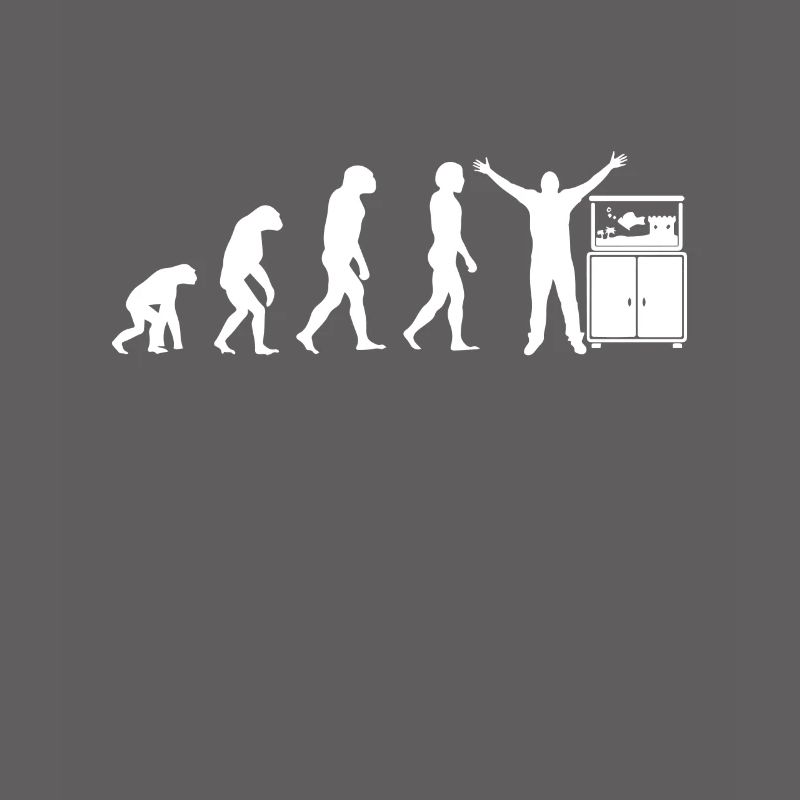 Fish aquarium evolution