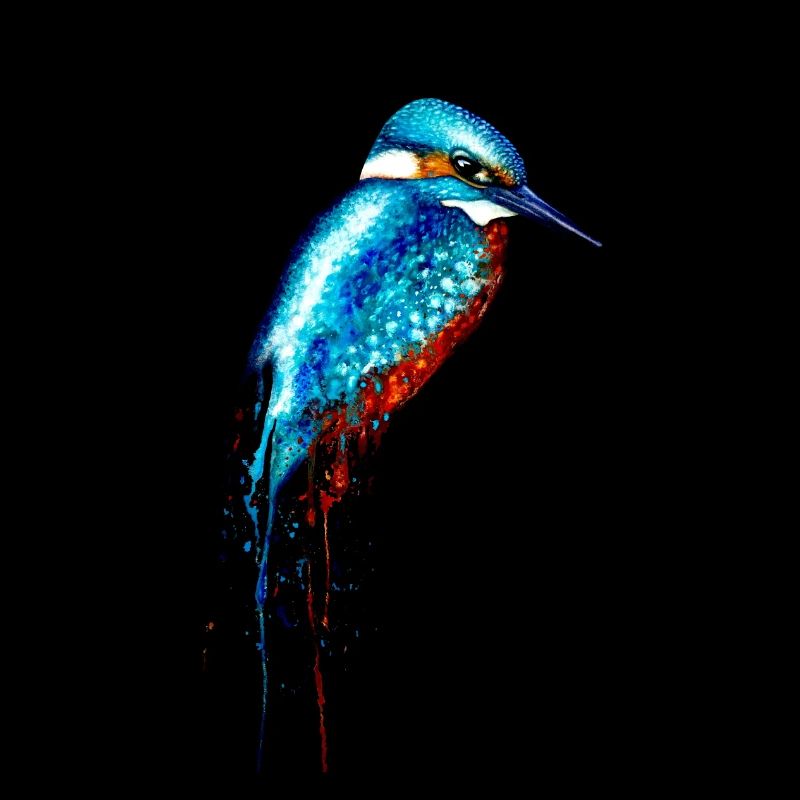 Aquarell Eisvogel