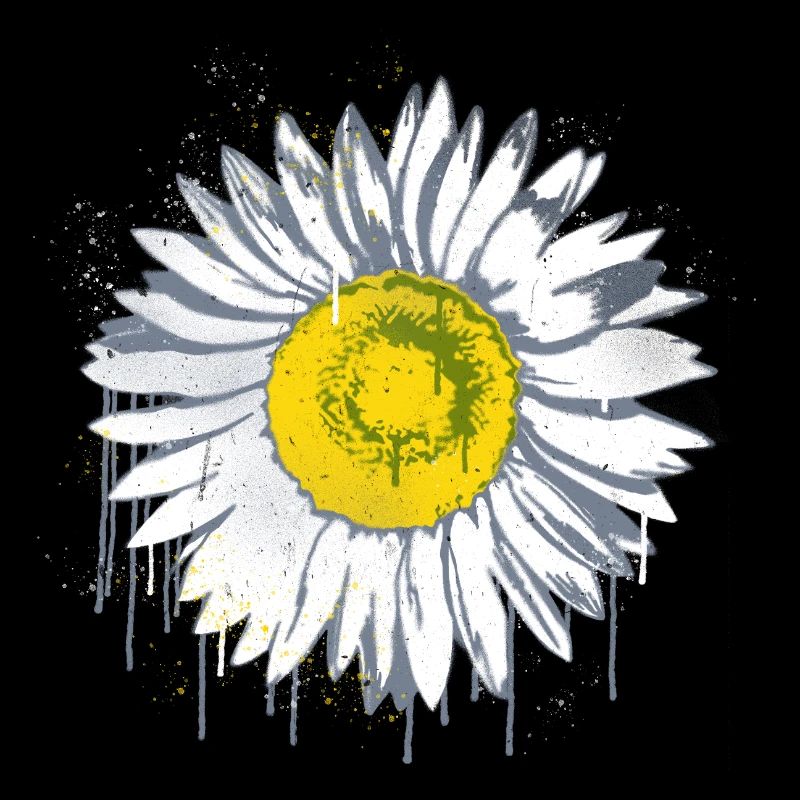 Daisy Stencil Graffiti Fleur Margerite