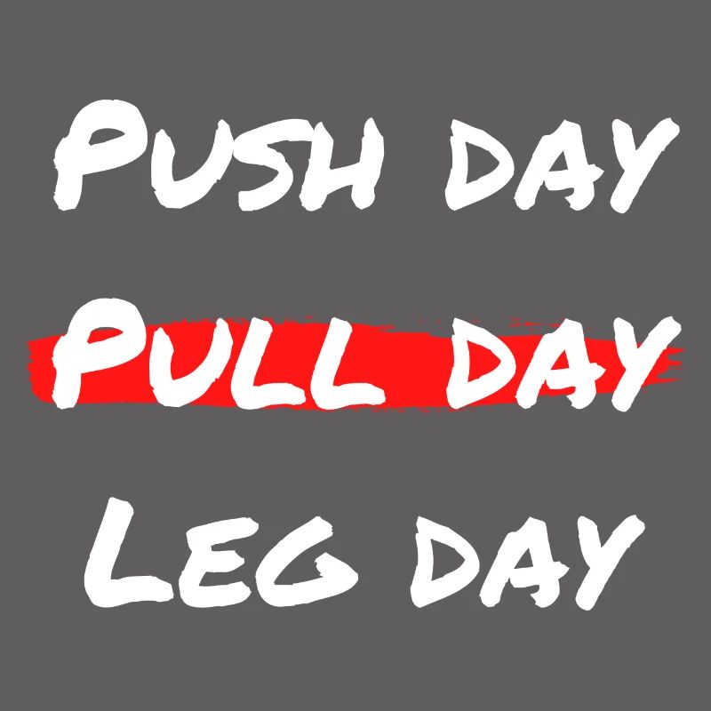 Pull day Workout - Push Pull Leg