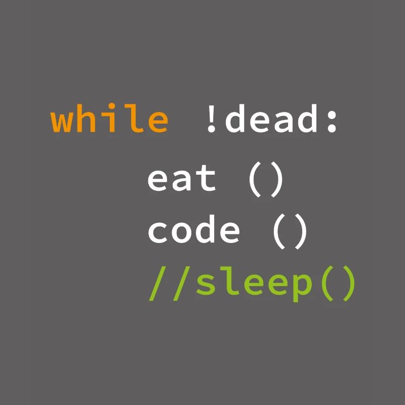 Drôle de cadeau de programmeur de codage