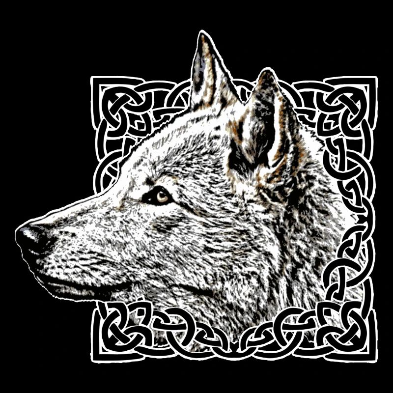Wolf, grey
