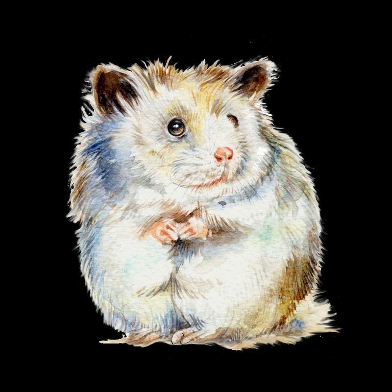 HAMSTER - der Hamster
