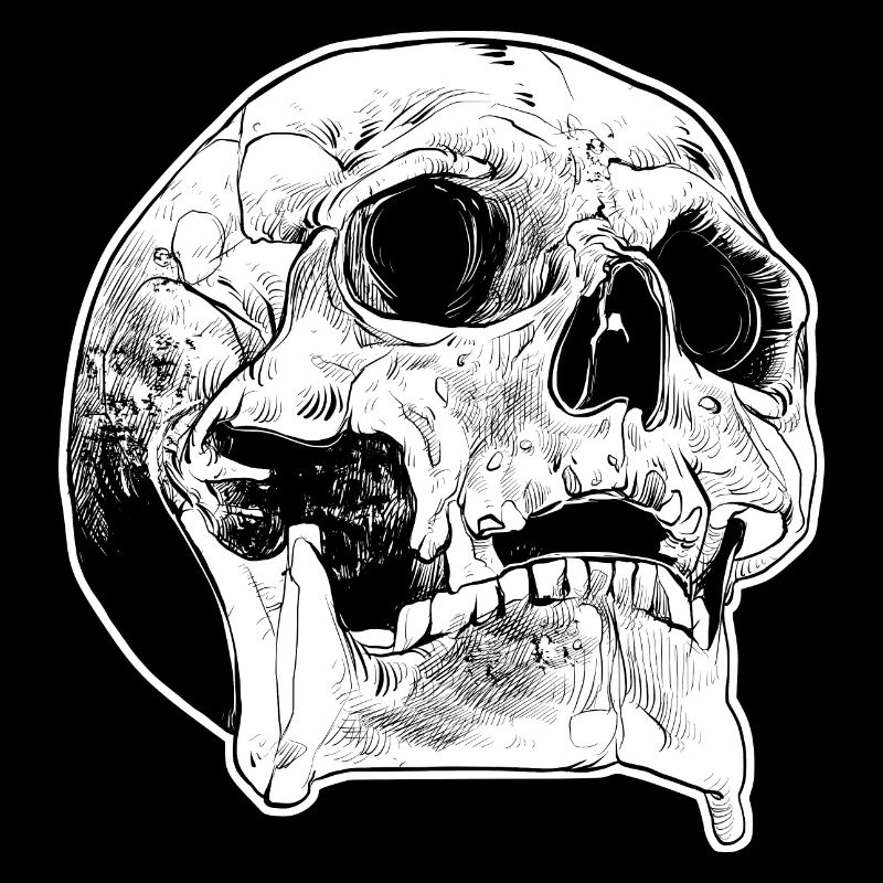 Schädel Totenkopf Knochen grusselig Gothic