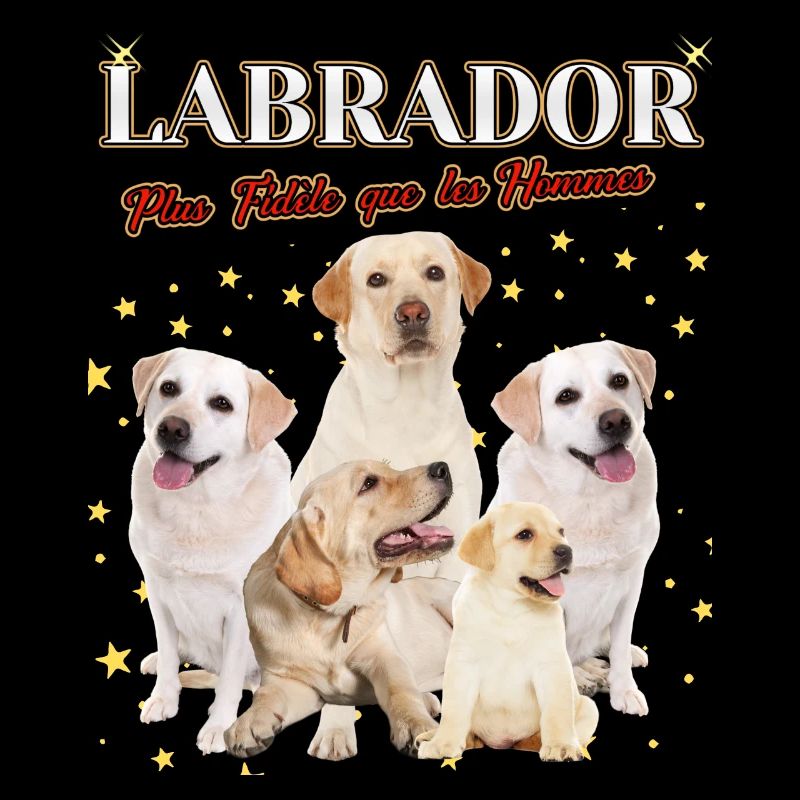 Labrador plus fidèle que les Hommes