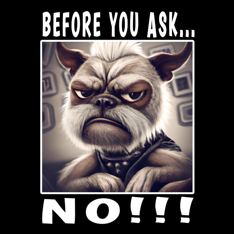 Before you ask no