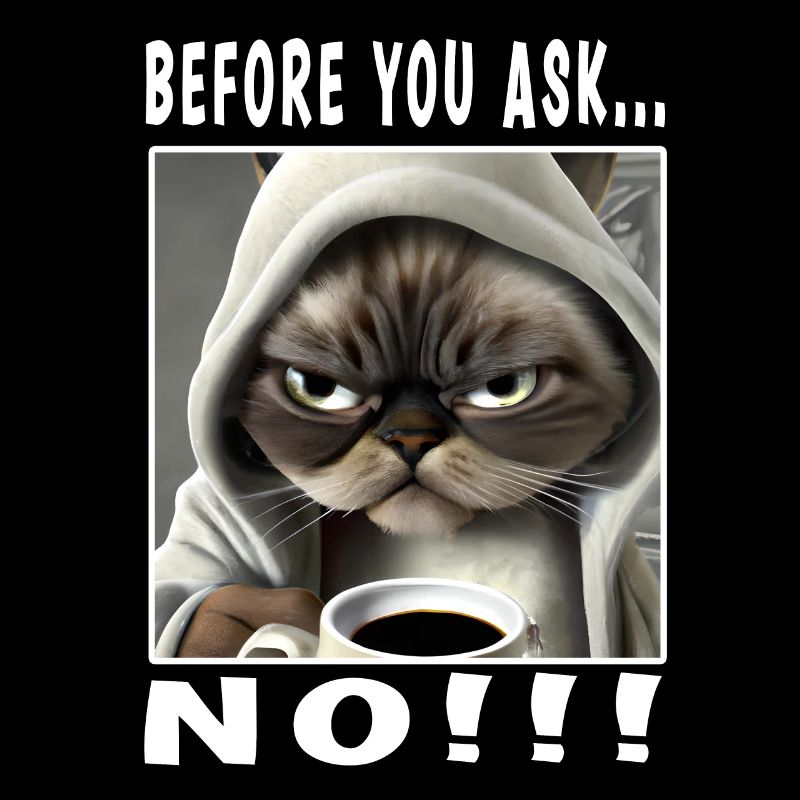 Before you ask no