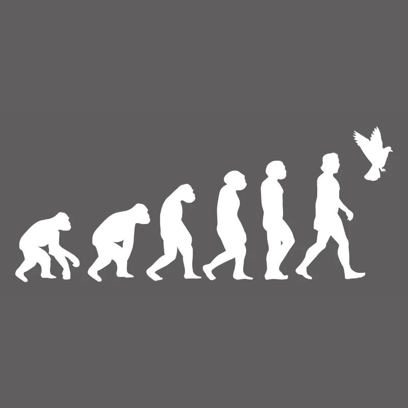 Taube Vogel Evolution der Menschen Tiere