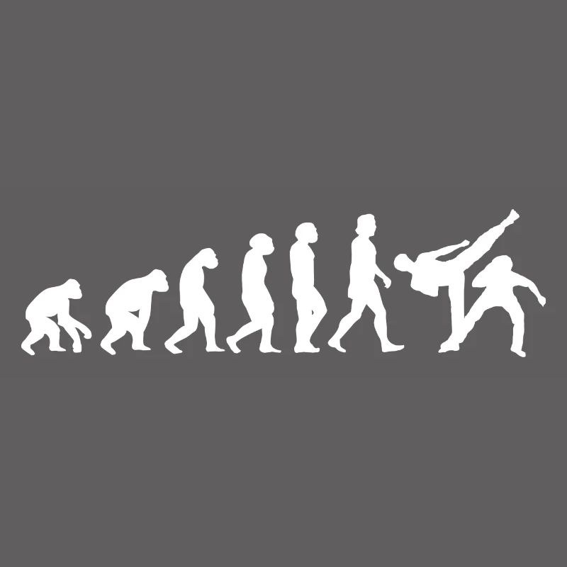 Capoeira danse évolution des peuples sport