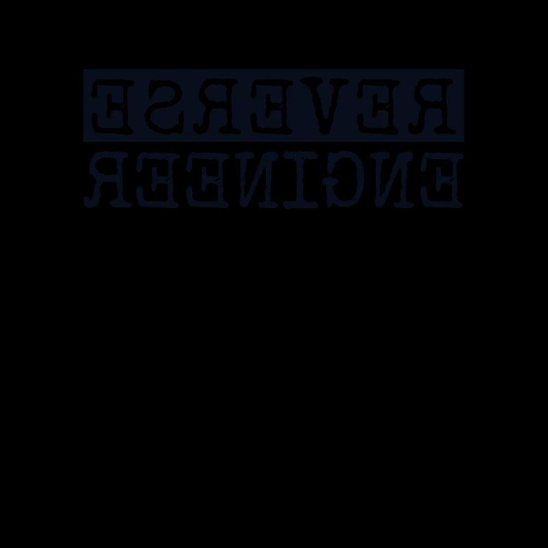 Reverse Engineer Softwareingenieur Developer