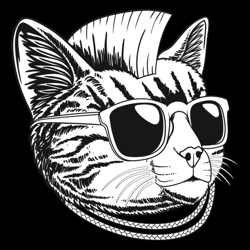 Chat punk