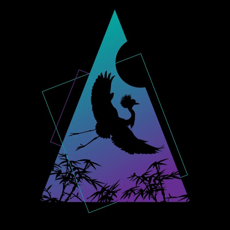 Crane Origami Geometry Creativity