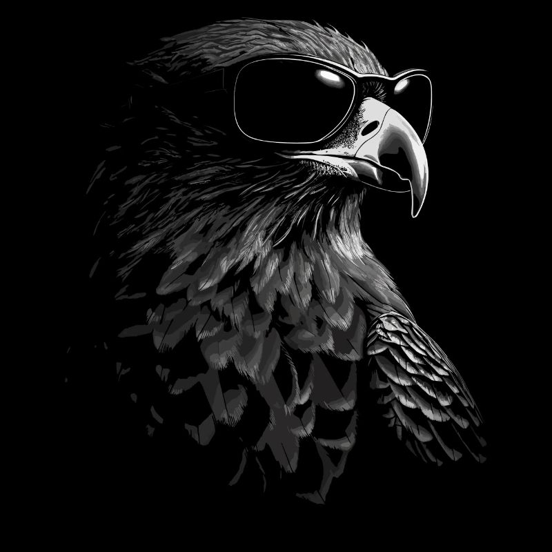 Falcon Sonnenbrille