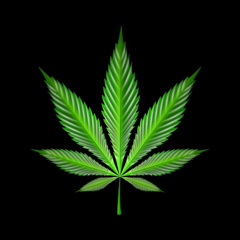 Cannabis leaf