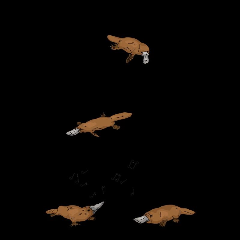 Ornithorynque Ornithorynque Ornithorynque Partitions Cadeau