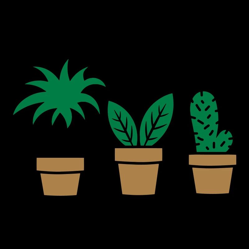 Plantes d'intérieur Plantes diverses - Plantes d'intérieur