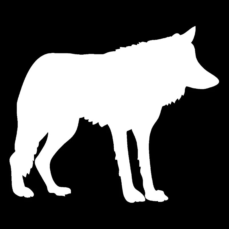 wolf Wolf Rudel Wolfsrudel