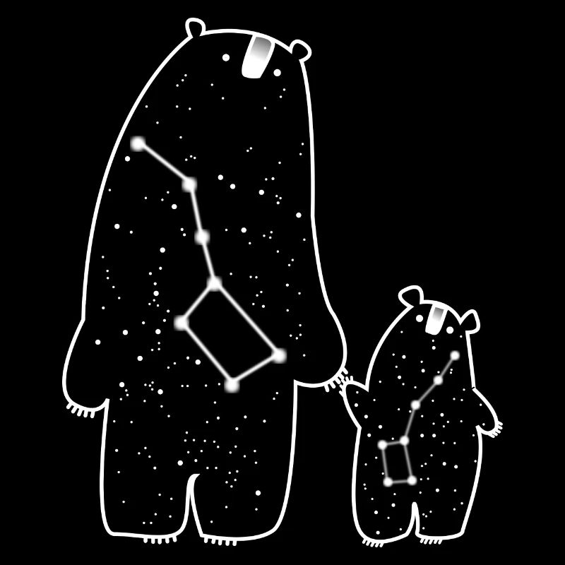 Bear zodiac animal space gift idea