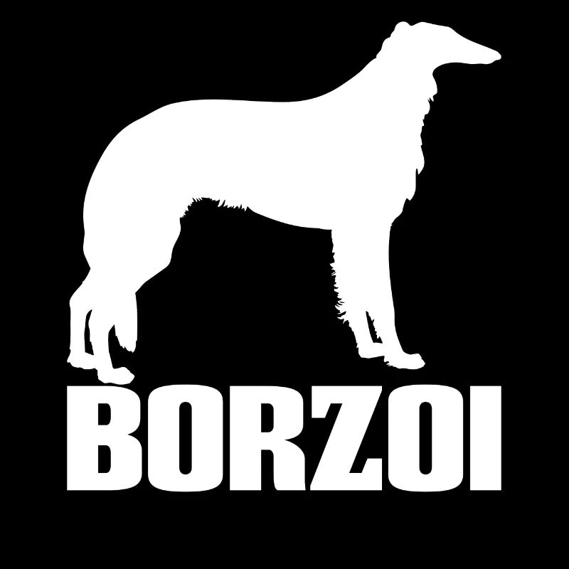 Borzoi Barzoi Windhund Hunderasse