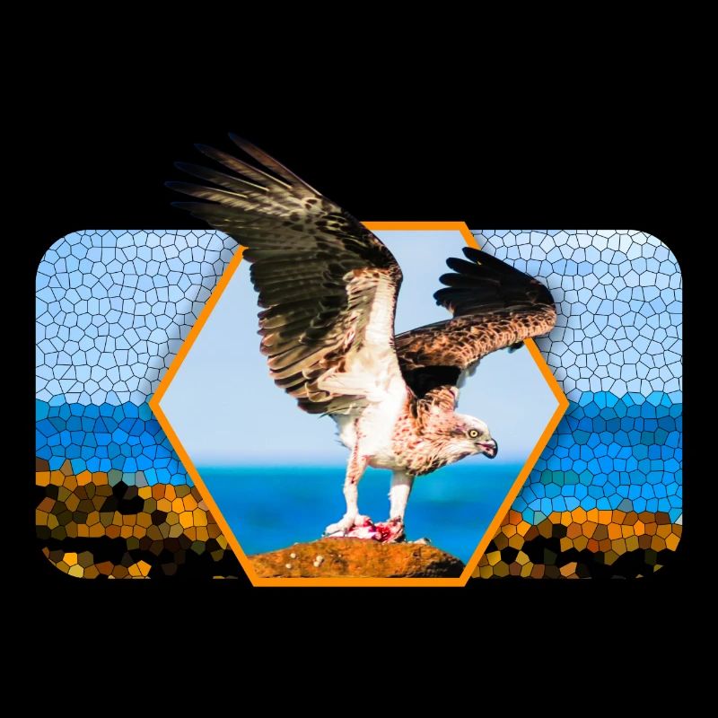 Aigle aux ailes déployées et forme graphique