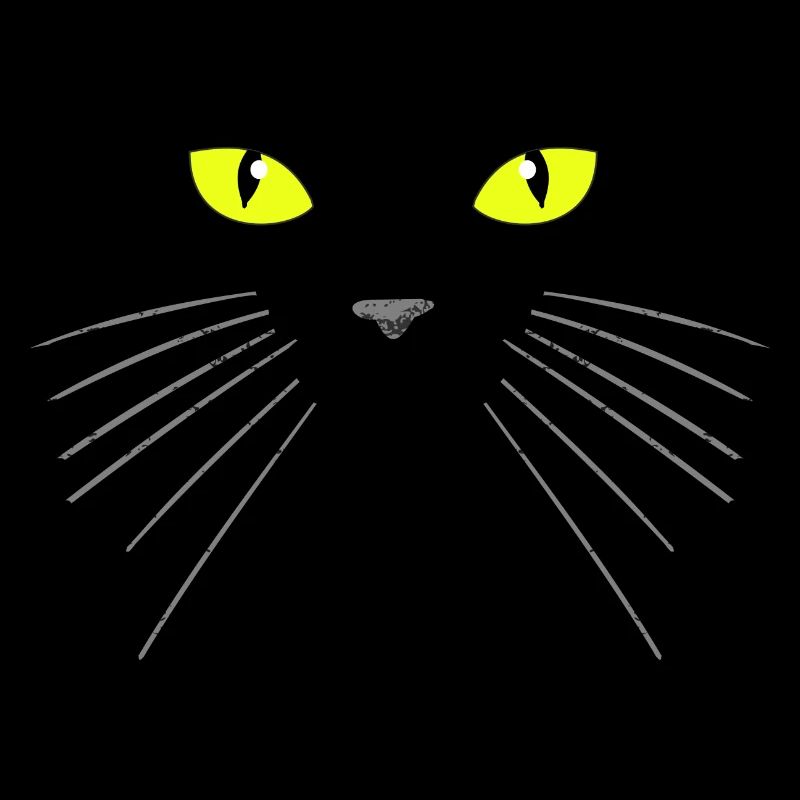 Chat noir
