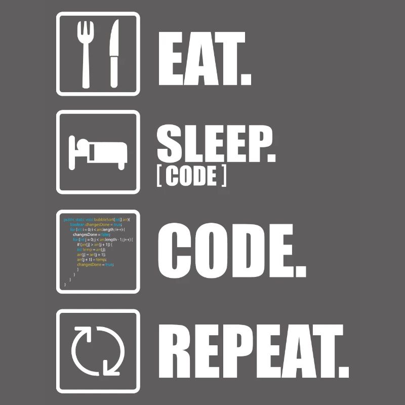 Informaticien drôle programmeur coder