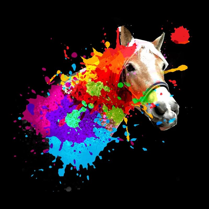 Cheval,Haflinger, Graffiti, Peinture, Coloré, Chevaux,