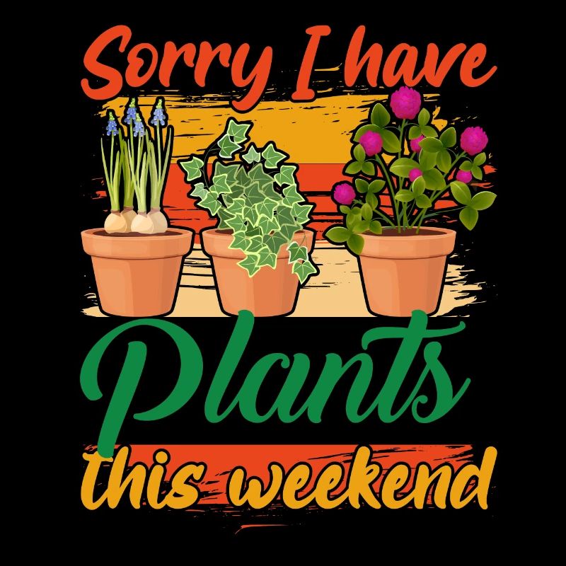 Sorry, I have sweet this weekend
