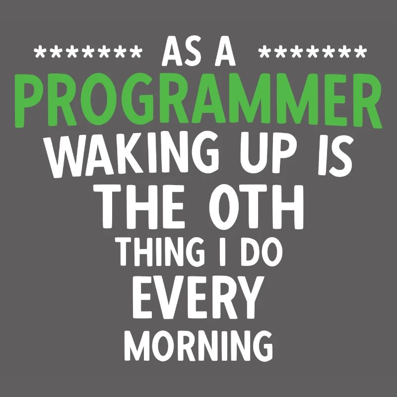 Software Ingenieur Informatiker Programmierer