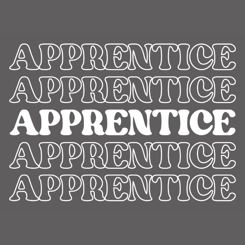 Apprentice Trainee Apprentice Novice Learner