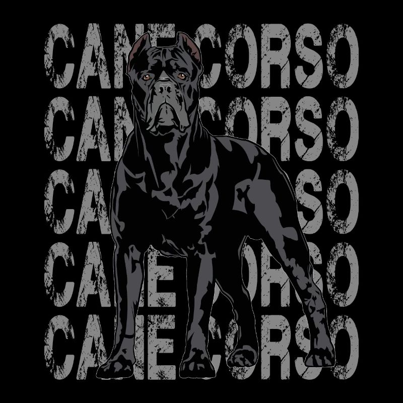 Cane Corso Molosser Mastiff Italien