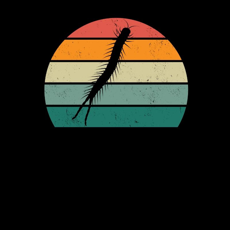Insect Crawl Chitinous Tanks Fly Wing Ant