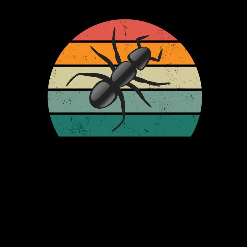 Insect, Crawl Chitinous Tanks Flies, Wings Amei