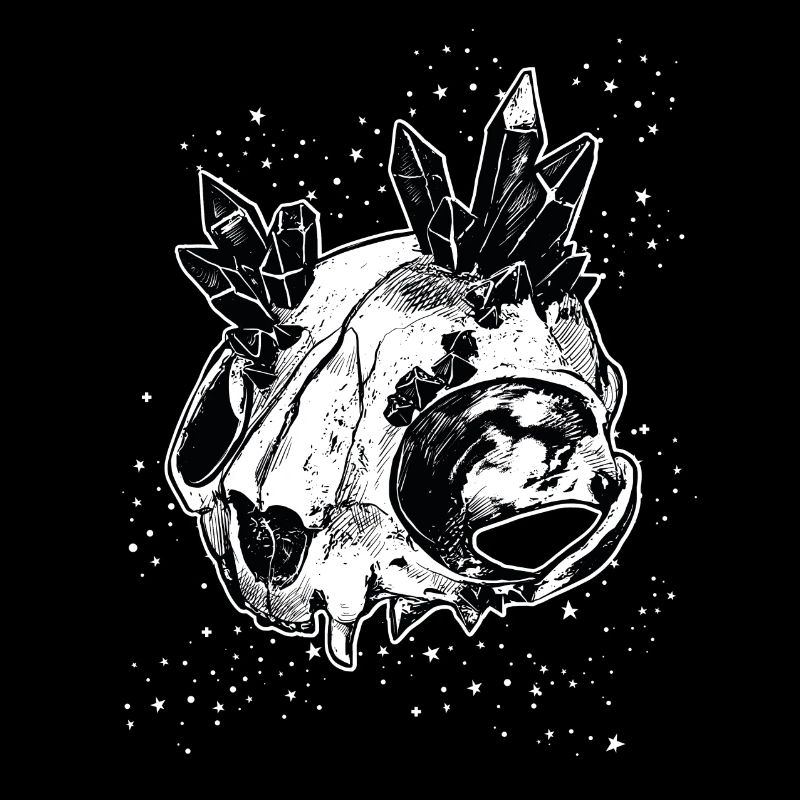 Cat skull crystal bones Kitty magic
