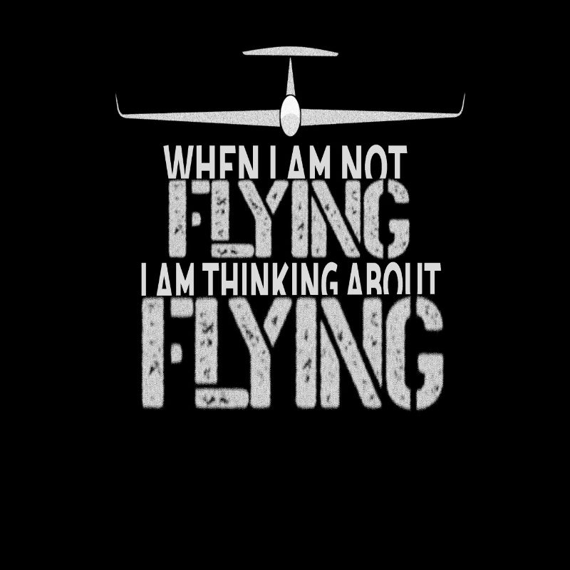 Planeur et vol