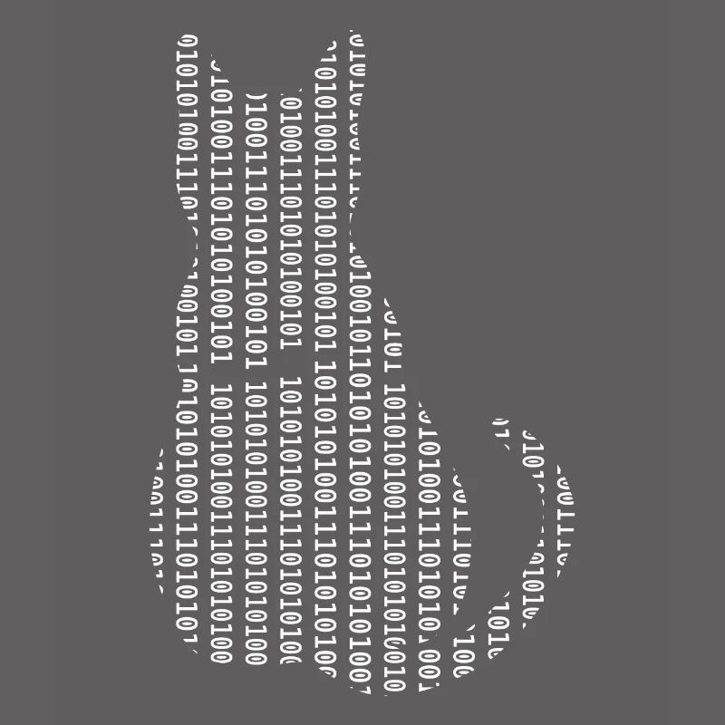 Informaticien Cat Admin Programmeur