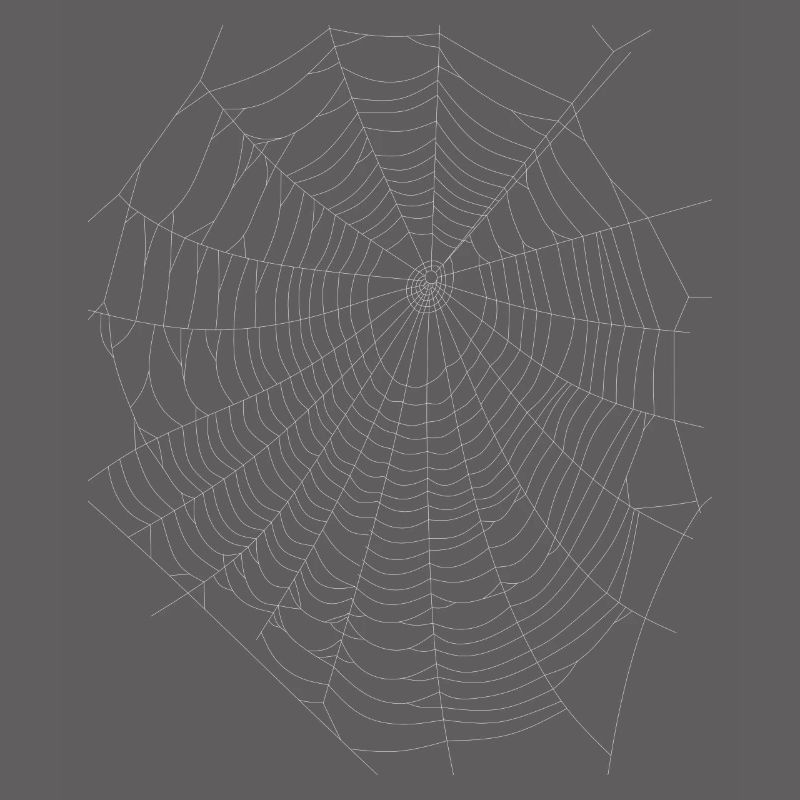 Spider Web Network Halloween Web