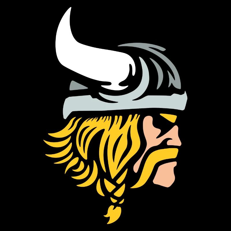 Guerriers vikings