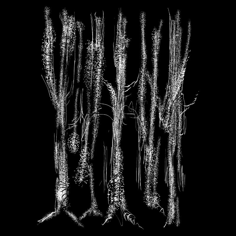 Structure de la forêt / des arbres