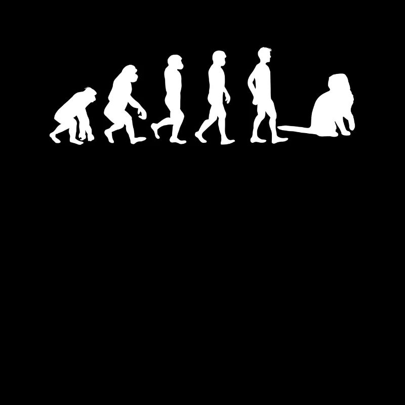Scottish Fold Scottish Fold Evolution