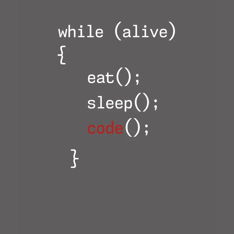 Administrateur Coding Geek Programmeur
