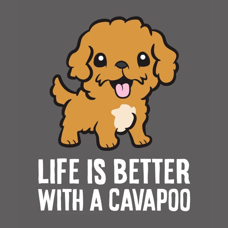 Cavapoo Haustier Hund Das Leben ist besser mit