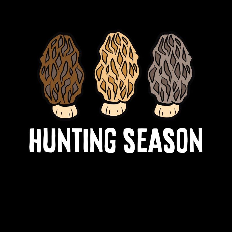Champignons morilles mycologue recherche de nourriture saison de chasse aux champignons
