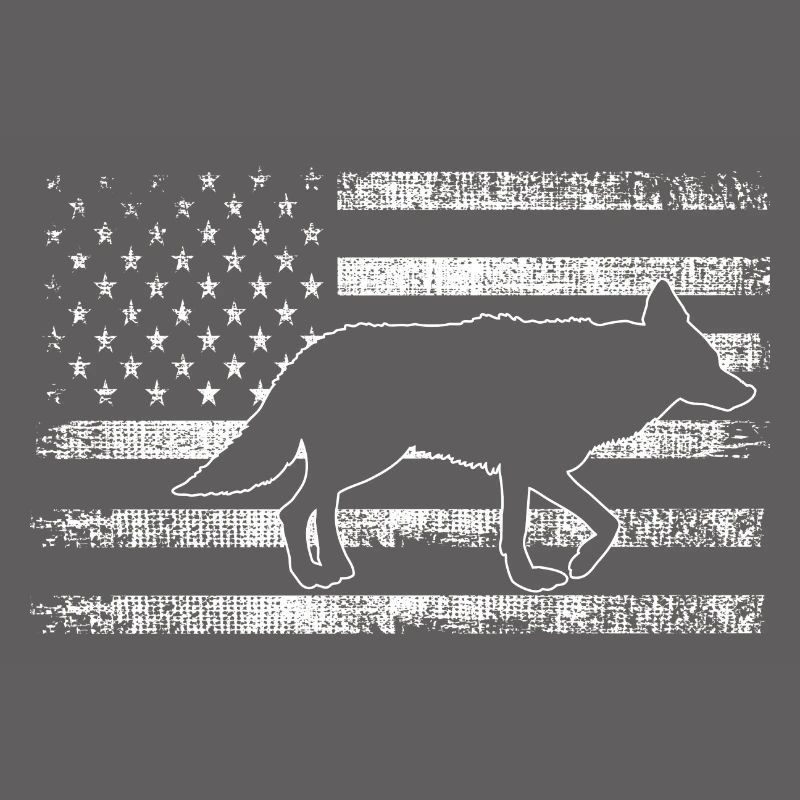 Conception de coyote pour les réacteurs de coyote