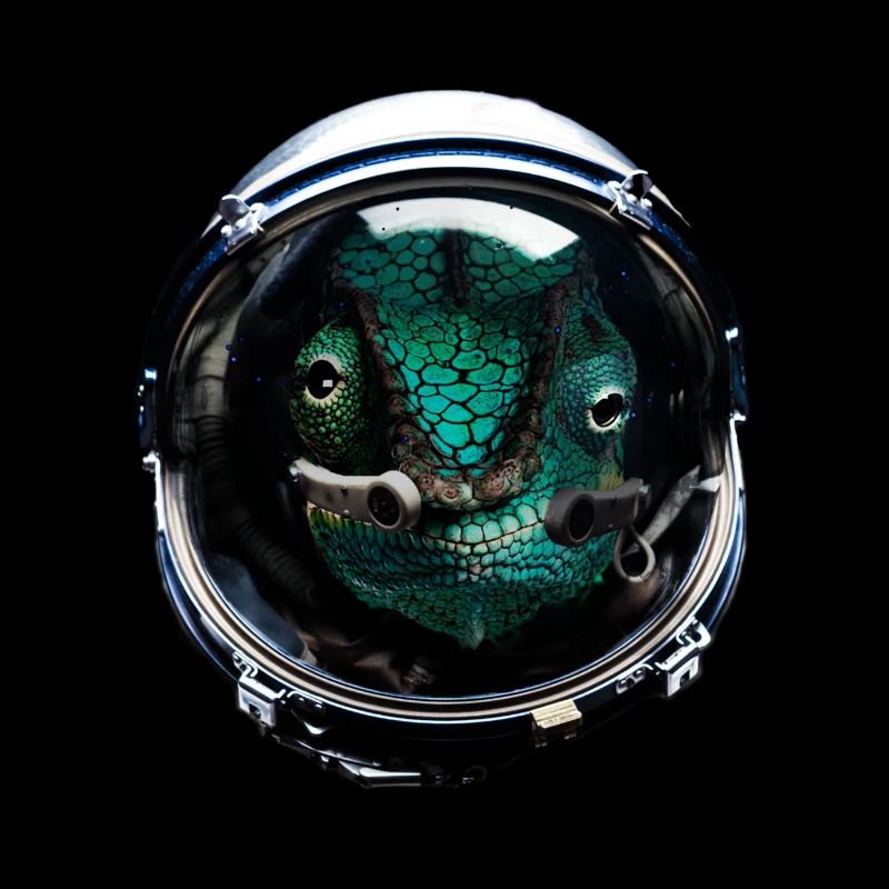 Astronaute Chameleon Reptile Keeper Dans l’espace